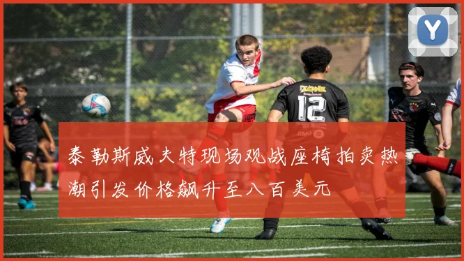 泰勒斯威夫特现场观战座椅拍卖热潮引发价格飙升至八百美元