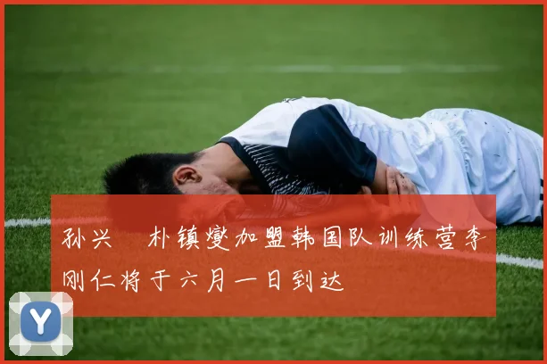 孙兴慜朴镇燮加盟韩国队训练营李刚仁将于六月一日到达
